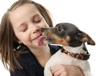 tandzorg kind en hond